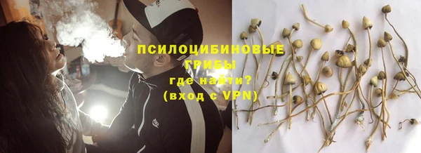 гидропоника Балабаново