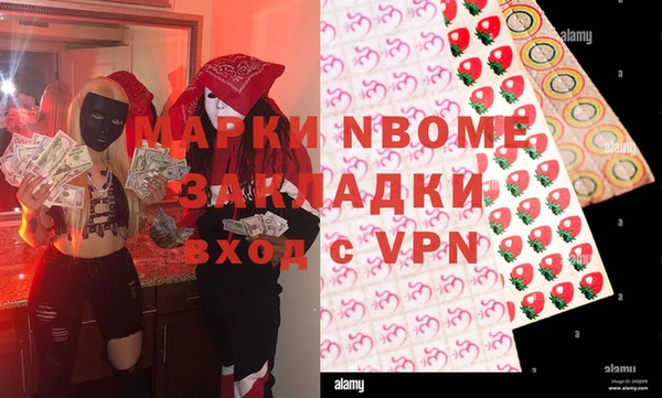 хмурый Арсеньев