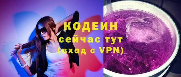 хмурый Арсеньев
