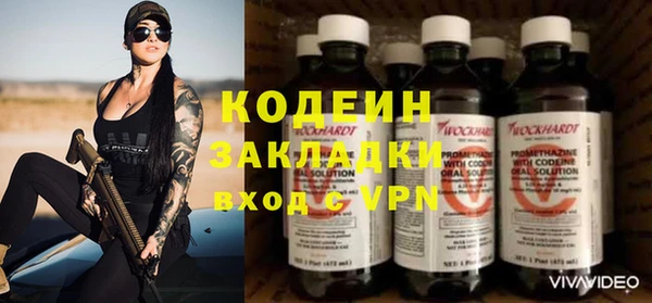 хмурый Арсеньев